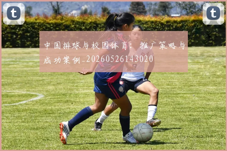 中国排球与校园体育：推广策略与成功案例_20260526143020